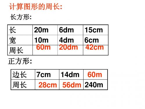 图形的周长复习课