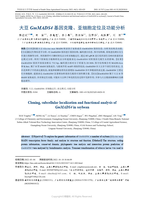 大豆GmMADS4_基因克隆、亚细胞定位及功能分析