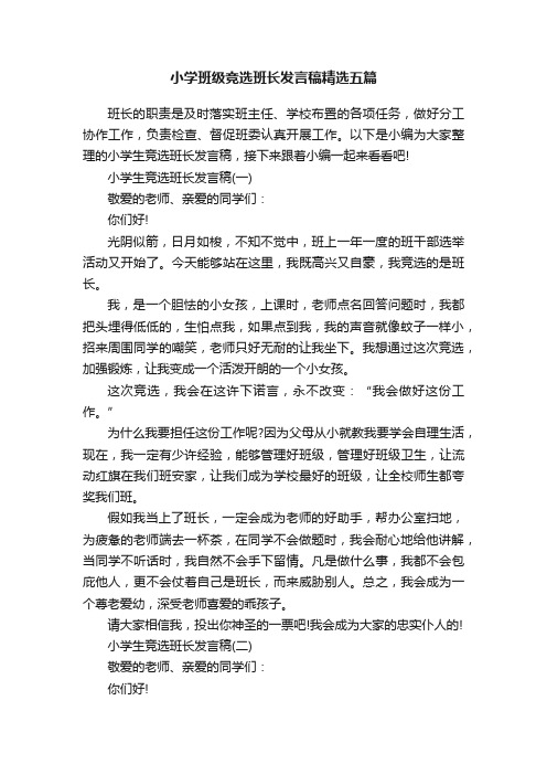 小学班级竞选班长发言稿精选五篇