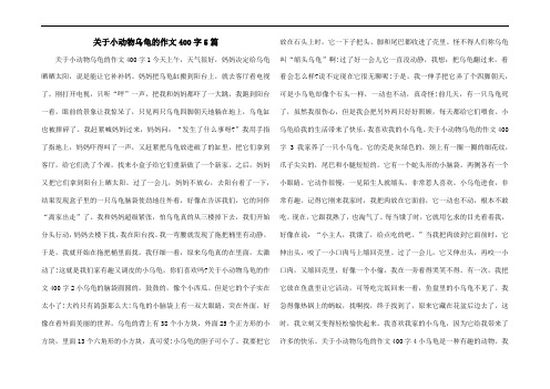 关于小动物乌龟的作文400字5篇