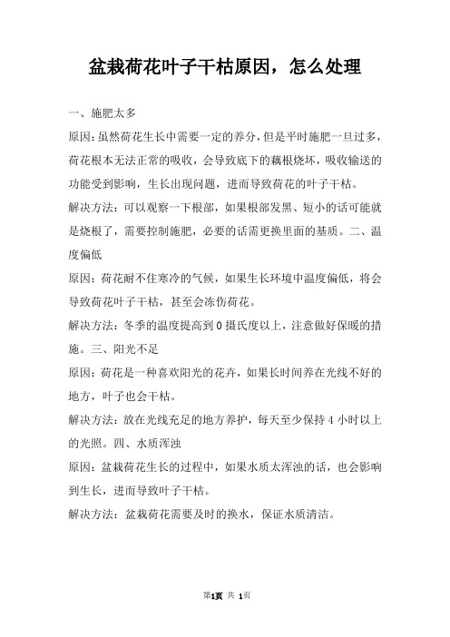盆栽荷花叶子干枯原因,怎么处理