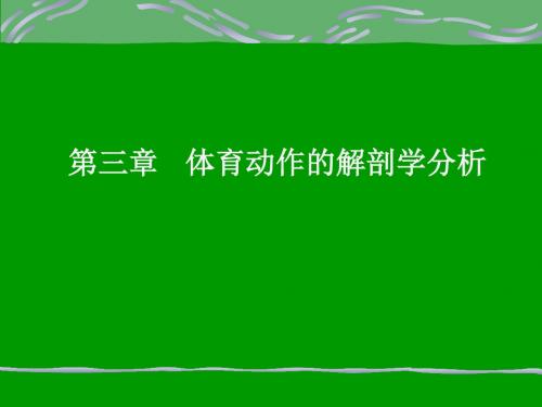 体育运动解剖学分析报告