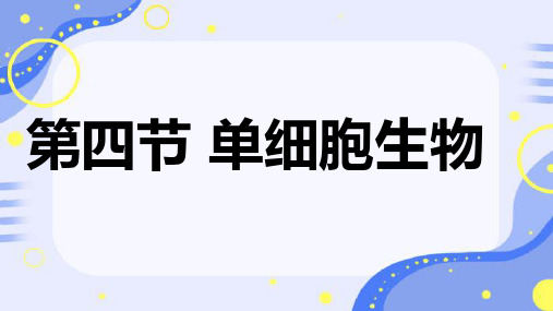 2024新编人教版七上生物 第四节 单细胞生物 优质课课件