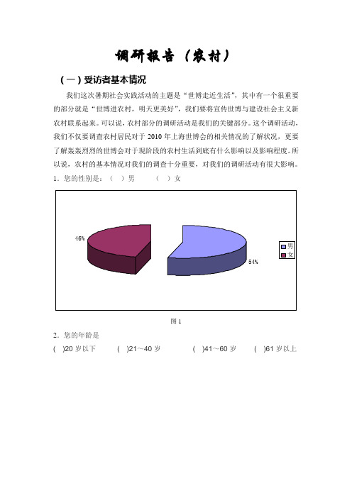 上海世博会 农村调研报告