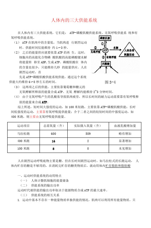 人体三大供能系统