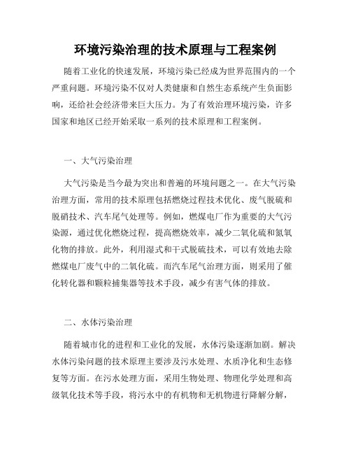 环境污染治理的技术原理与工程案例