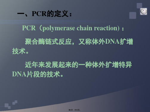 PCR原理及检测方法