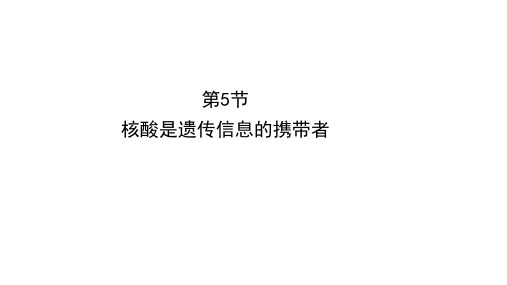 新人教版 必修1 核酸是遗传信息的携带者 课件 (35张)