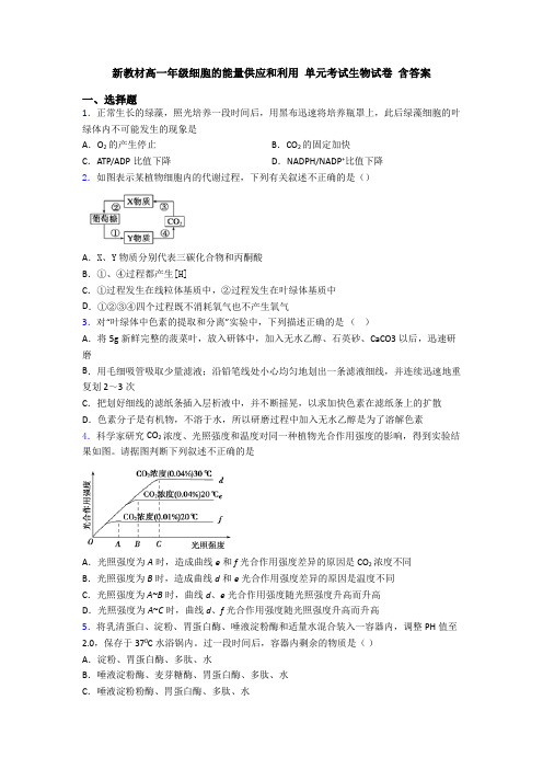 新教材高一年级细胞的能量供应和利用 单元考试生物试卷 含答案