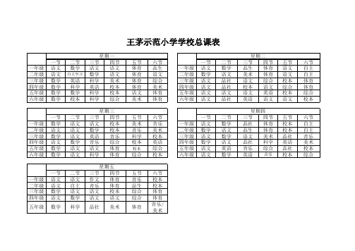 2013学校总课表