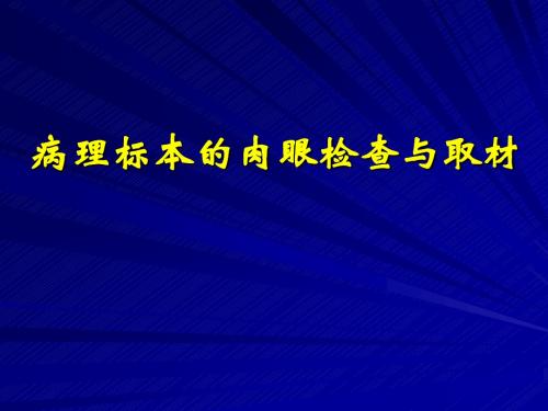 病理标本的肉眼检查与取材规范课件