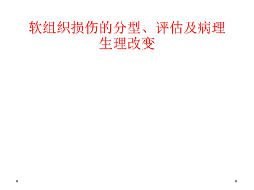 软组织损伤的分型、评估及病理生理改变