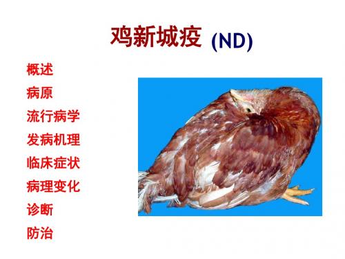 聊城大学农学院《禽病学》课件病毒病第一节ND