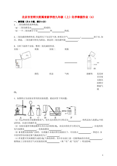 北京市首师大附属育新学校九年级化学上学期寒假作业(4)(含解析) 北京课改版