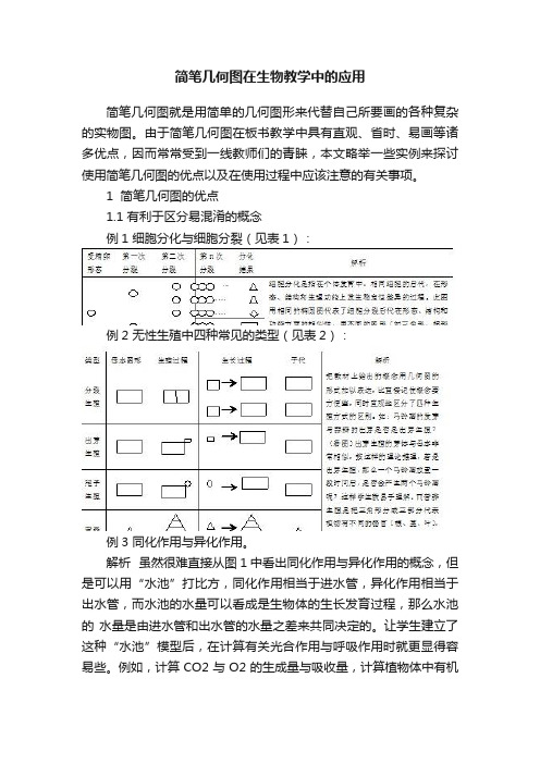 简笔几何图在生物教学中的应用