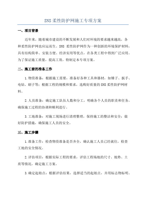 SNS柔性防护网施工专项方案