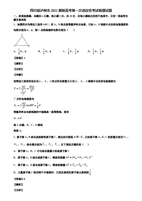 四川省泸州市2021届新高考第一次适应性考试物理试题含解析
