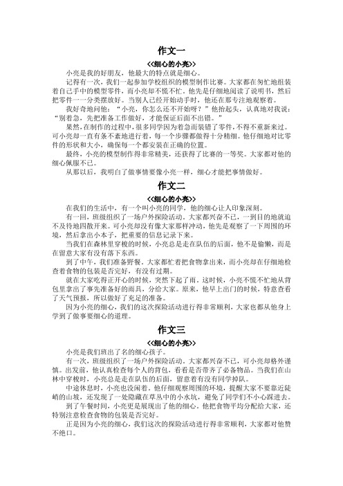 细心的小亮写作文350字