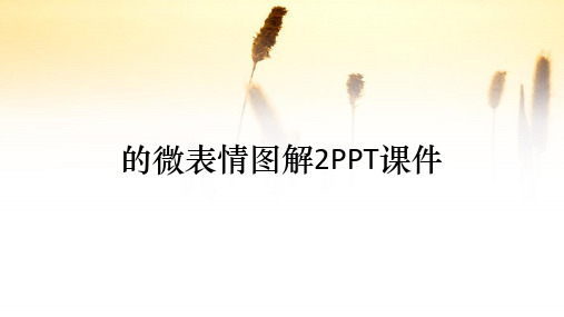 的微表情图解2PPT课件(收藏)