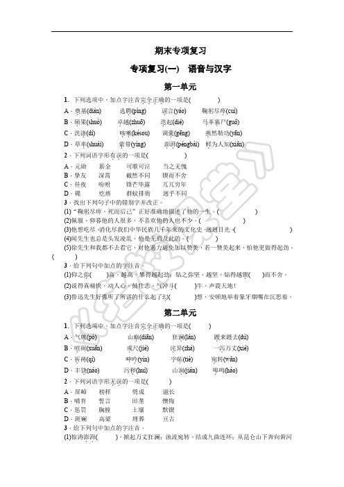 2020年人教版部编版八年级语文下册专项复习(一) 语音与汉字