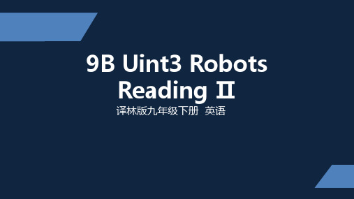 译林版 初中九年级下册 Unit 3 Reading II ppt课件