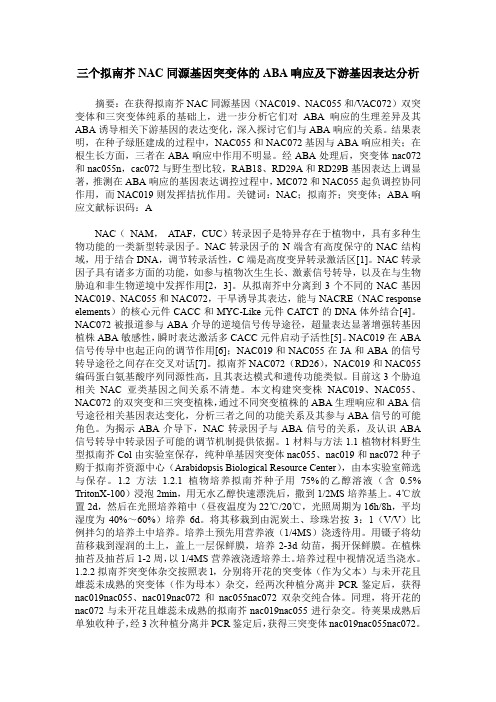 三个拟南芥NAC同源基因突变体的ABA响应及下游基因表达分析