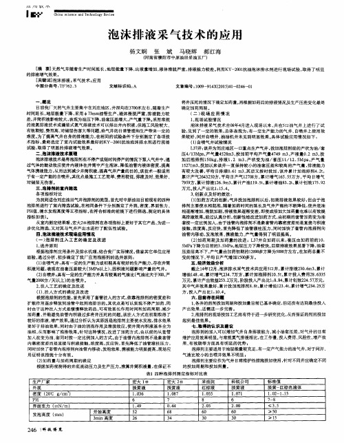 泡沫排液采气技术的应用