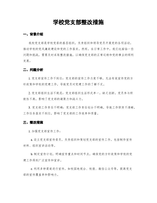 学校党支部整改措施