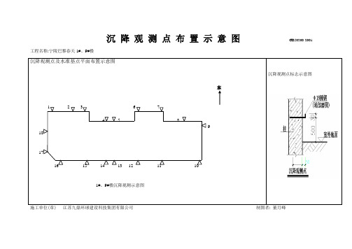 沉降观测点布置示意图