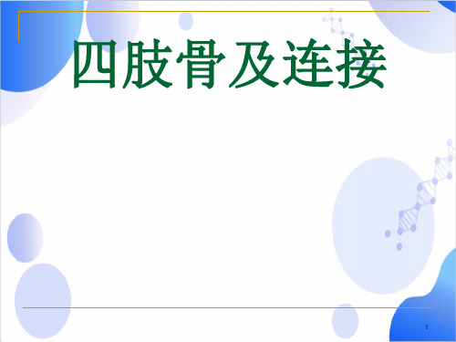 系统解剖学课件四肢骨及连接