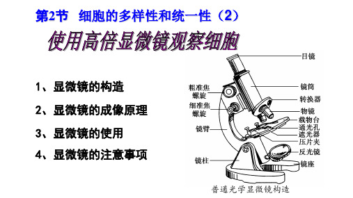 2022届高三生物一轮复习课件：显微镜专题  