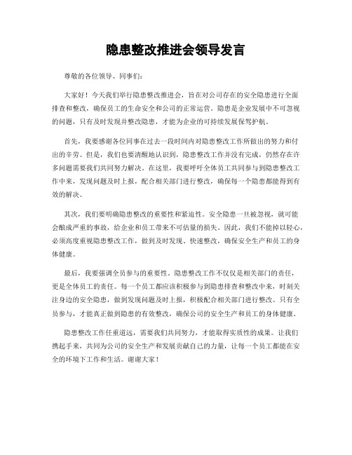 隐患整改推进会领导发言