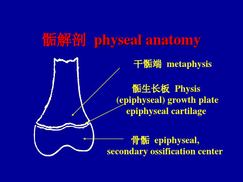 最新小儿骨骺损伤PPT课件-PPT文档