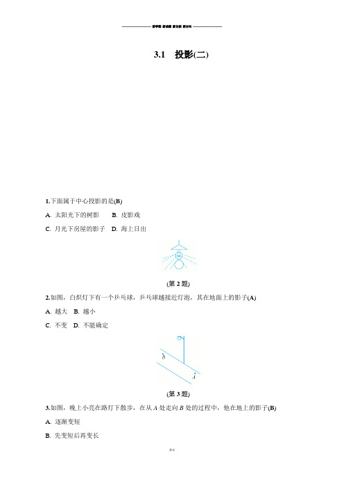 浙教版数学九年级下册3.1  投影(二).docx