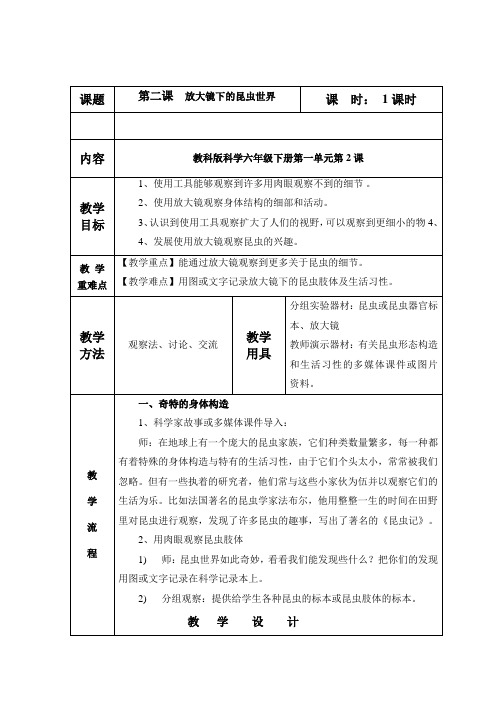 教科版小学科学六年级下册《一 微小世界 放大镜下的昆虫世界》优质课教学设计_22