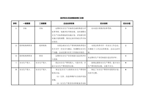 自评扣分点及原因说明汇总表