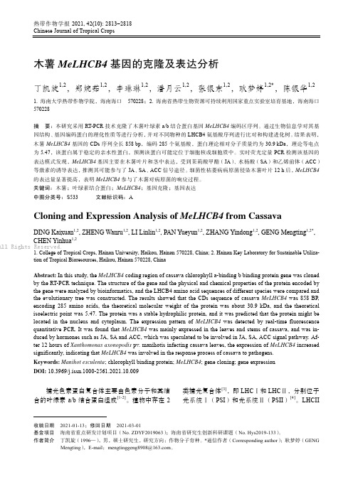 木薯MeLHCB4基因的克隆及表达分析