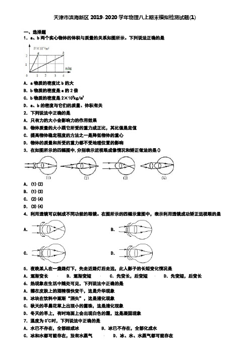 天津市滨海新区2019-2020学年物理八上期末模拟检测试题(1)