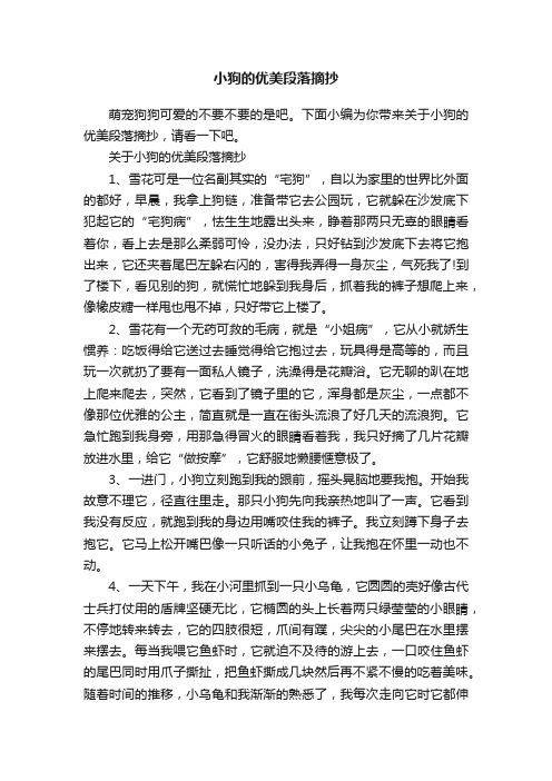 关于小狗的优美段落摘抄