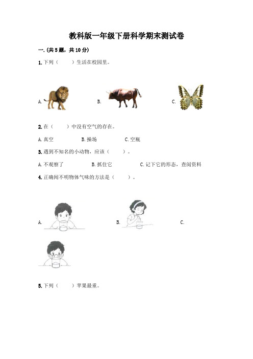 教科版一年级下册科学期末测试卷附答案AB卷