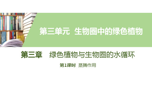 最新人教版初中七年级生物上册《第三章第课时  蒸腾作用》精品教学课件