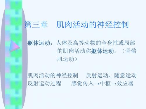 东北师范大学《运动生理学》课件 第3章 肌肉活动的神经