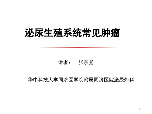 泌尿系统常见肿瘤(基础版) 2020 - 副本