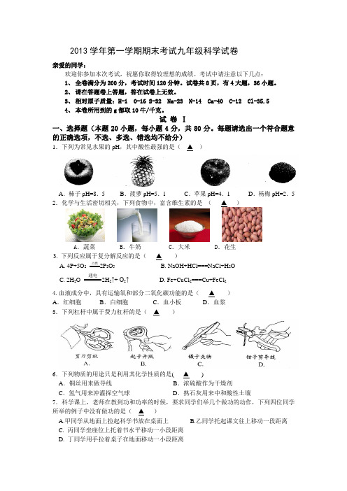 2013学年第一学期期末考试九年级科学试卷