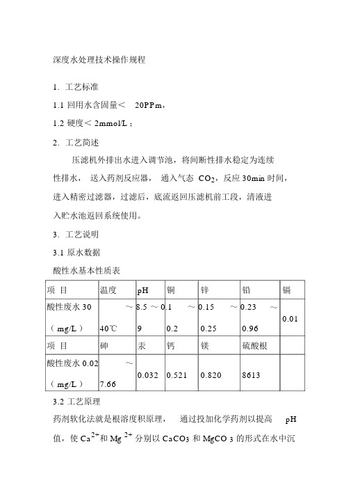 深度水处理技术操作规程