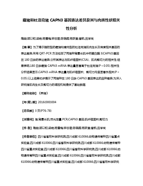 藏猪和杜洛克猪CAPN3基因表达差异及其与肉质性状相关性分析