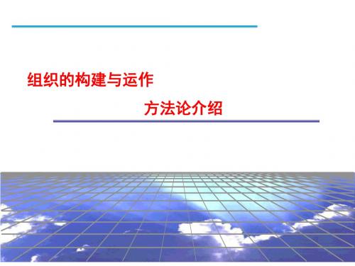 组织构建与运作方法论介绍(PPT50张)