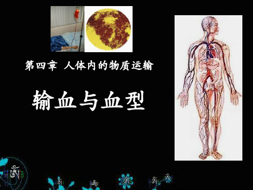 《输血与血型》人体内物质的运输PPT5  图文