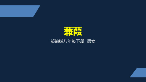 部编版语文八年级下册《蒹葭》课件优质版PPT