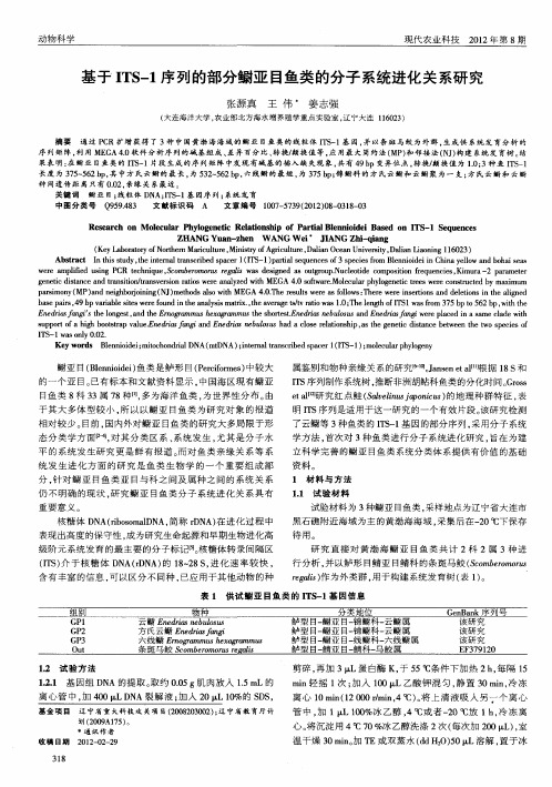 基于ITS-1序列的部分鳚亚目鱼类的分子系统进化关系研究